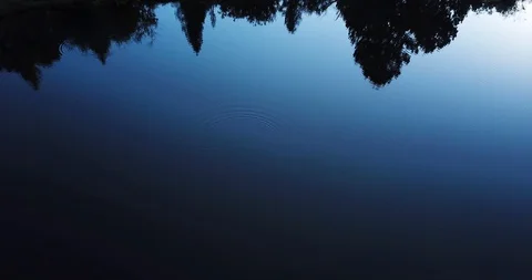 Slow Drone over Mountain Lake with Bench Stock Footage 103191206