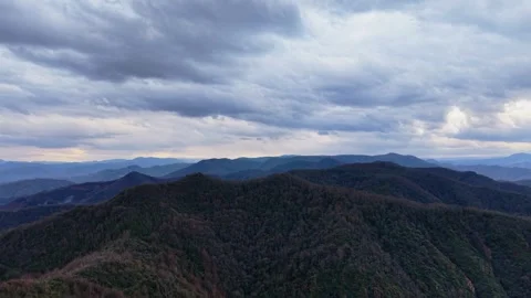 Slow Drone Rise Above Dark Forest Under Overcast Sky in 4K Stock Footage 339018404