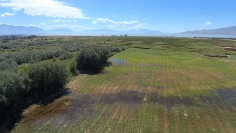 Slow Falling Pan Over Muddy Field Near Utah Lake Stock Footage 80314006