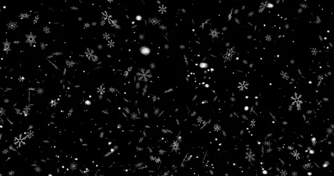 Slow falling snowflakes close-up on black background Stock Footage 259203409