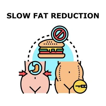 Slow fat reduction process vector concept illustrating weight loss Stock Illustration