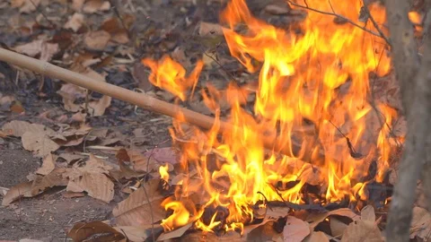 Slow fire flame burning forest on hills 库存影片 102643035