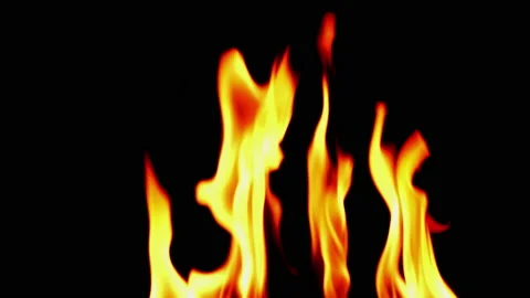 Slow fire flame glowing and burning on black screen background Stock Footage 231032151