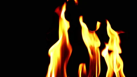 Slow fire flame glowing and burning on black screen background Video stock 231032294