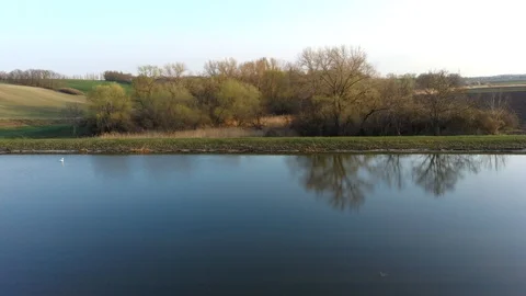 Slow flight above shallow fish pond towards shoreline, spring season Stock Footage 127285469