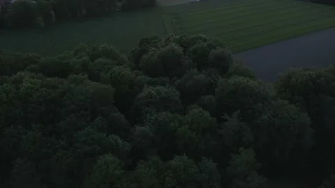 Slow Flight above Trees Stock Footage 194426785