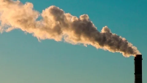 Slow flight of a bird, against the background of smoke emerging from the pipe 库存影片 74436527