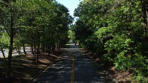 Slow flight down street through branches with car driving off in the distanc Video stock 240021250