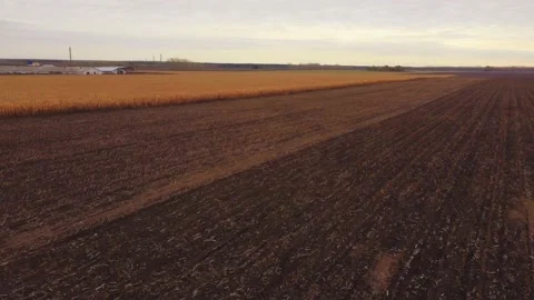 Slow flight of the drone antenna over a cornfield and fresh arable land , turnin Vidéo 162628820