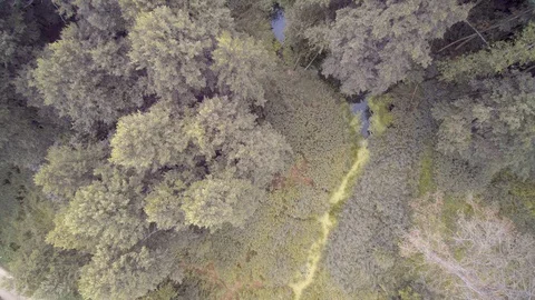 Slow flight drone on the river channel. view from above Video stock 114426459