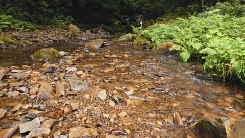 Slow flight over a fast mountain river , blue cold water in a mountain river Stock Footage 230997548