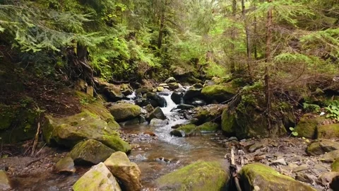 Slow flight over a fast mountain river , blue cold water in a mountain river Stock Footage 230997674