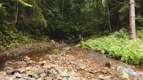 Slow flight over a fast mountain river , blue cold water in a mountain river Stock Footage 230997784
