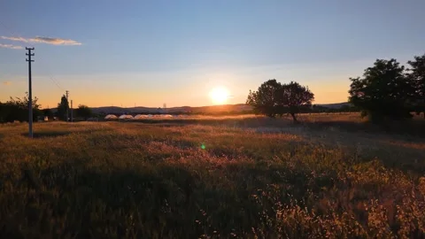 Slow Flight Over Golden Wheat Fields at Sunset with Power Lines Stock Footage 340491512