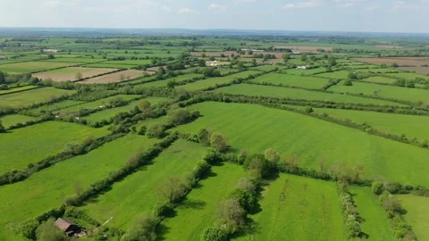 Slow flight over a patchwork of fields in England. Sunshine. Video stock 274747693