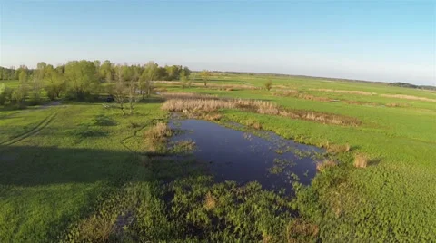 Slow Flight   over small lake . Aerial Video stock 38294434