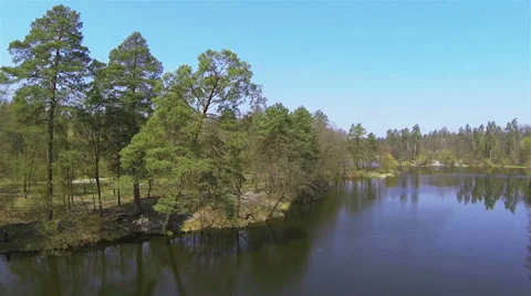 Slow flight over  tree near  river. Aerial  view Stock-Footage 37626972