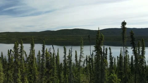 Slow Flight through Boreal Forest to a calm Lake Stock Footage 169554342