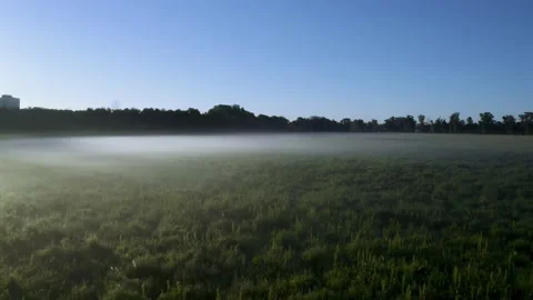 Slow flight through the mist over a grassy meadow in the early morning Stockbeeldmateriaal 141674844
