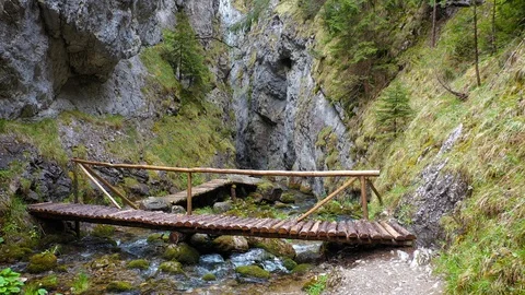Slow flight through a narrow passage of a canyon above a footbridge and a stream Stock Footage 130066546