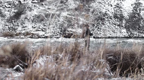 Slow floaty view of a river in winter behind some grass, with rack focus Vidéo 44020806