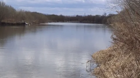 Slow flow of the river, spring, trees without leaves Stock Footage 75344442