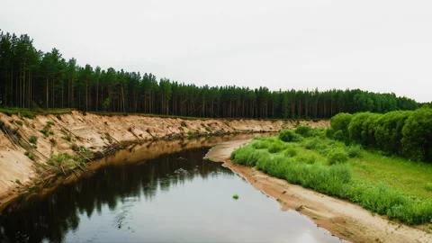 Slow flowing forested river with a steep bank. Whispering Winds, Toppling Pines Stock Footage 257778179