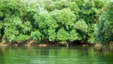 Slow flowing river with green trees on the bank Stock-Footage 160566160