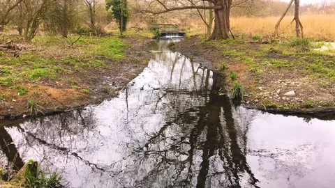 Slow flowing river in Morden Hall Park wetlands Stock Footage