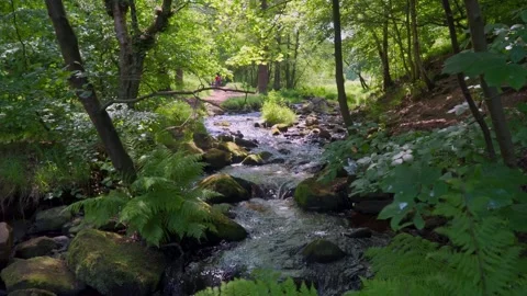 Slow flowing river stream flowing gently over rocky waterfalls. Wyming Brook Stock Footage 243834816