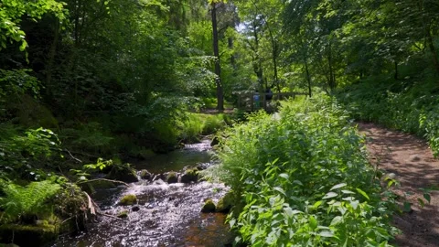 Slow flowing river stream flowing gently over rocky waterfalls. Wyming Brook Stockbeeldmateriaal 243834838