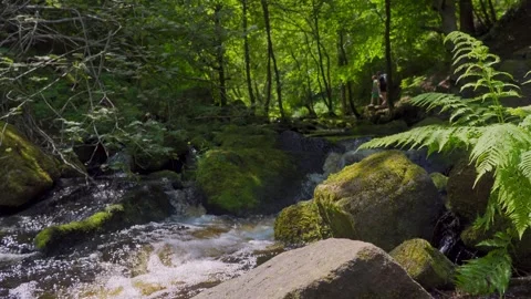 Slow flowing river stream flowing gently over rocky waterfalls. Wyming Brook Vídeos de archivo 243834853
