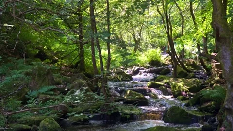 Slow flowing river stream flowing gently over rocky waterfalls. Wyming Brook Видео 243834947