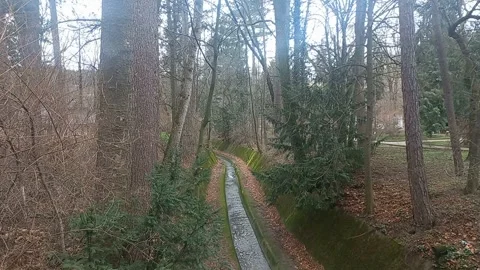 Slow Flowing River with Trees in Bankya, Bulgaria Stock Footage 274395092