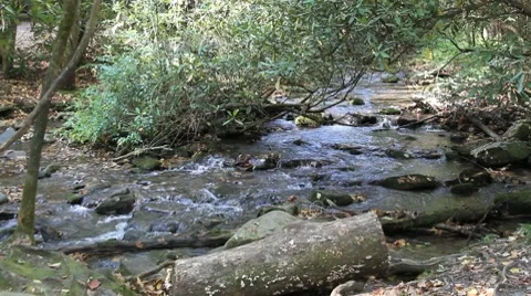 Slow Flowing Stream Video stock 8835917