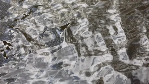 Slow flowing water in river Stock Footage 169765398