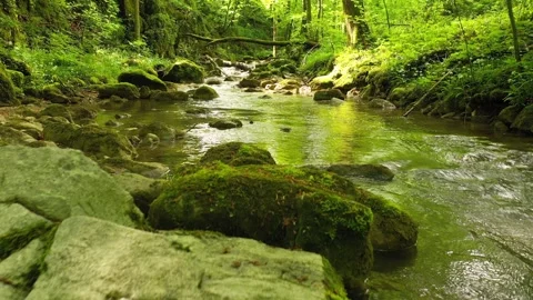 Slow fly above mossy green rocks at forest stream Stock Footage 337234111
