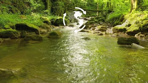 Slow fly close to magic forest stream Stock Footage 340588095