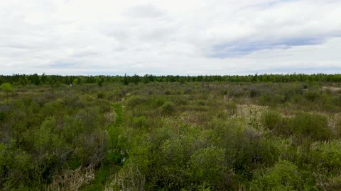 A slow fly over a rural springtime meadow Stock Footage 195078286