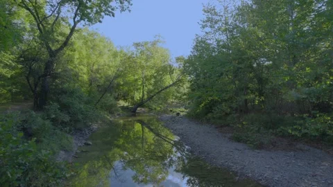 Slow Fly through Stream Stock Footage 238699119