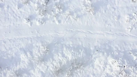 Slow flying over the snowed path in the woods 4K drone video Stock Footage 102573695