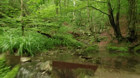 Slow flying through the forest over the beautiful mountain stream Stock Footage 218319194