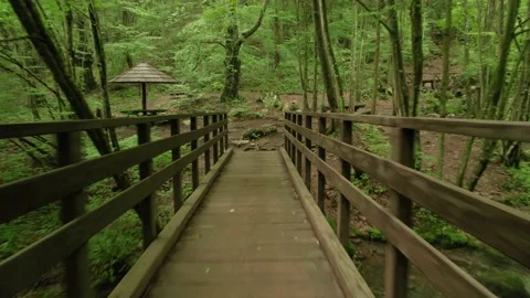 Slow flying through the forest over the beautiful mountain stream Stock Footage 218319951