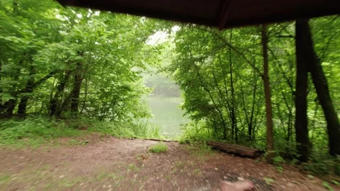 Slow flying through the forest over the beautiful mountain stream Stock Footage 218320062