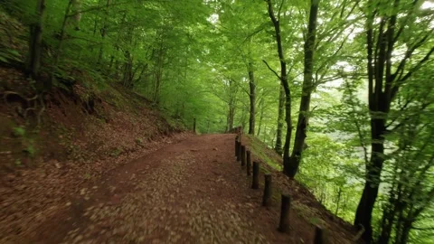 Slow flying through the forest over the beautiful mountain stream Stock Footage 218320129
