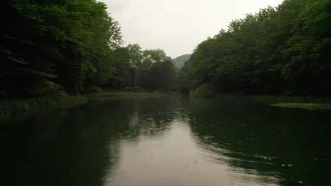 Slow flying through the forest over the beautiful mountain stream Video stock 218320186