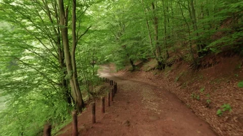 Slow flying through the forest over the beautiful mountain stream Stock Footage 218320319