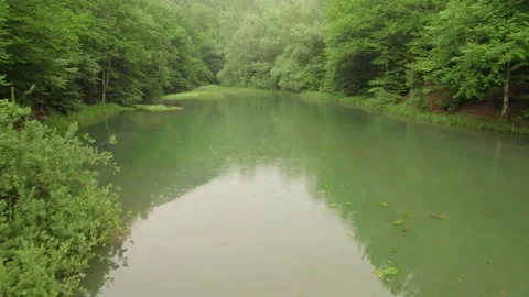 Slow flying through the forest over the beautiful mountain stream Stock Footage 218320921