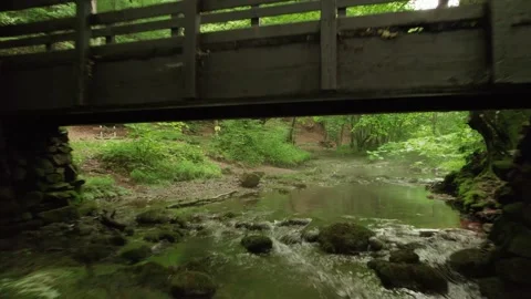 Slow flying through the forest over the beautiful mountain stream Stock Footage 218321349