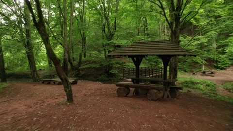 Slow flying through the forest over the beautiful mountain stream Stock Footage 218321350